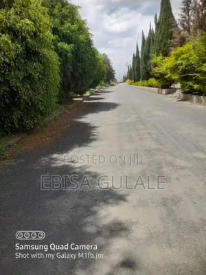 6bdrm Farm House in Roseta Real State, Oromia-Finfinne for sale