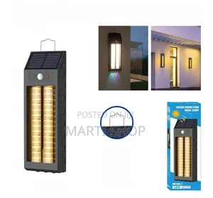 Solar Induction Wall Lamp