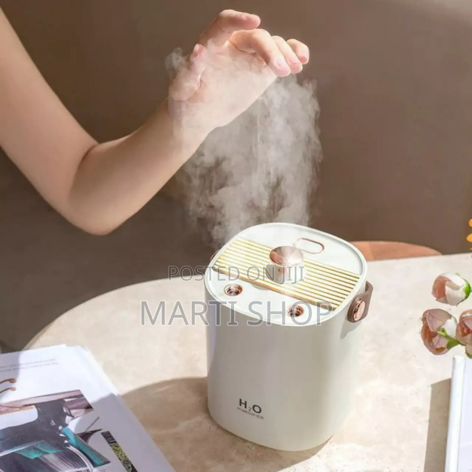 H2o Double Spray Humidifier