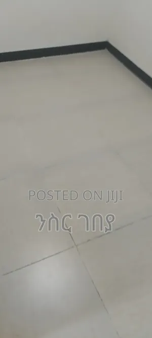 Photo - Furnished 2bdrm Condo in Ayat 49 , 40/60, Yeka for rent