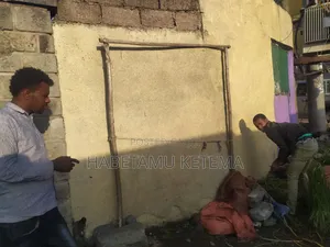 10bdrm House in Adiss Abeba, Akaky Kaliti for sale