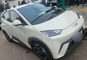 Photo - BYD Seagull 2024 White