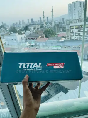 Total 900 Watt Grinder