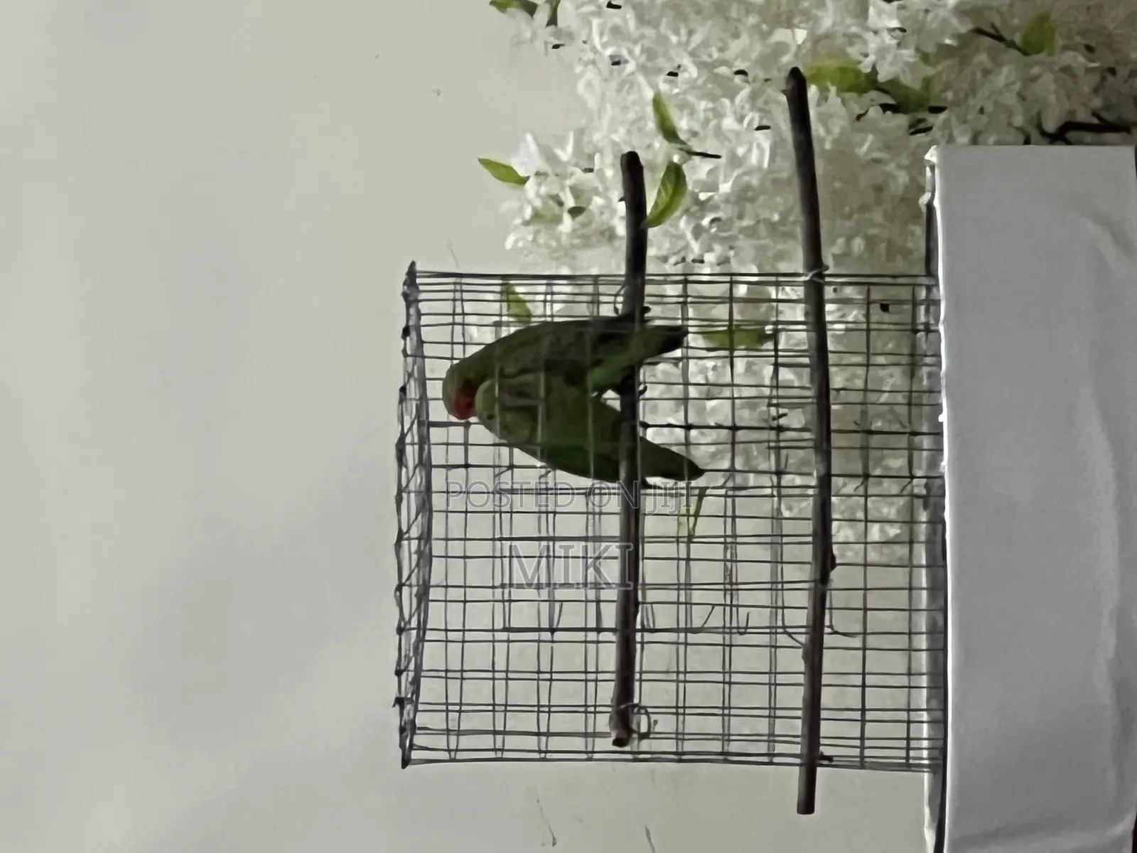 7bdrm Townhouse/Terrace in Haile Garment, Nifas Silk-Lafto for sale