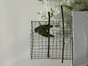 7bdrm Townhouse/Terrace in Haile Garment, Nifas Silk-Lafto for sale