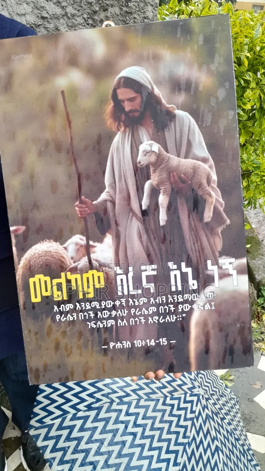 Wall Quotes ( Bible Quotes )