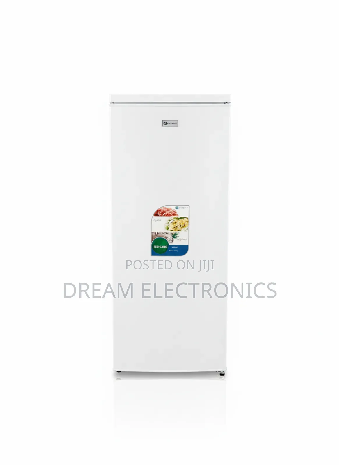 Everest Stand Deep Freezer