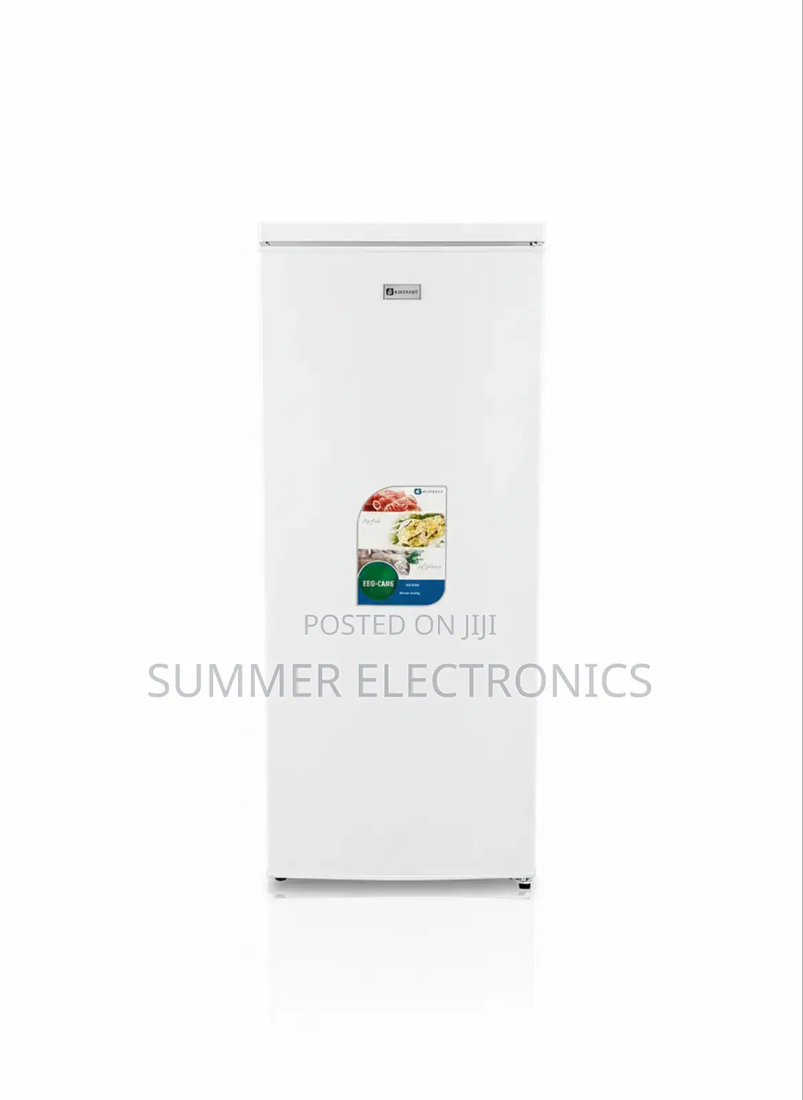 Everest Stand Deep Freezer