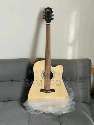 Acoustic Electric Guitar Siltron