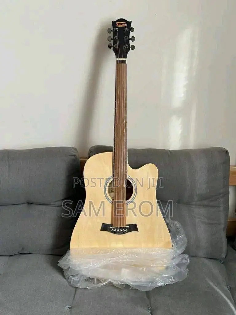 Acoustic Electric Guitar Siltron
