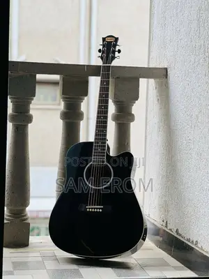 Photo - Acoustic Electric Guitar Siltron