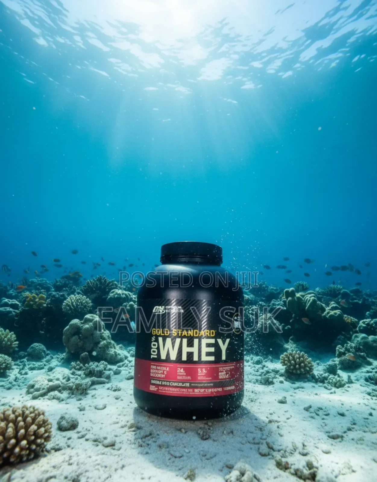 Whey Gold Standard Best Muscle Recovery