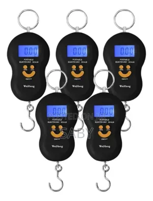 Portable Electronic Scale