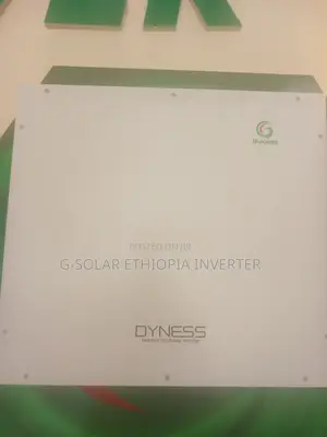5kw Hybrid Inverter With Dyness Lithium Battery – Reliable Solar Power