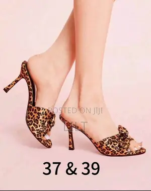 Photo - Woman’S Heel Shoes