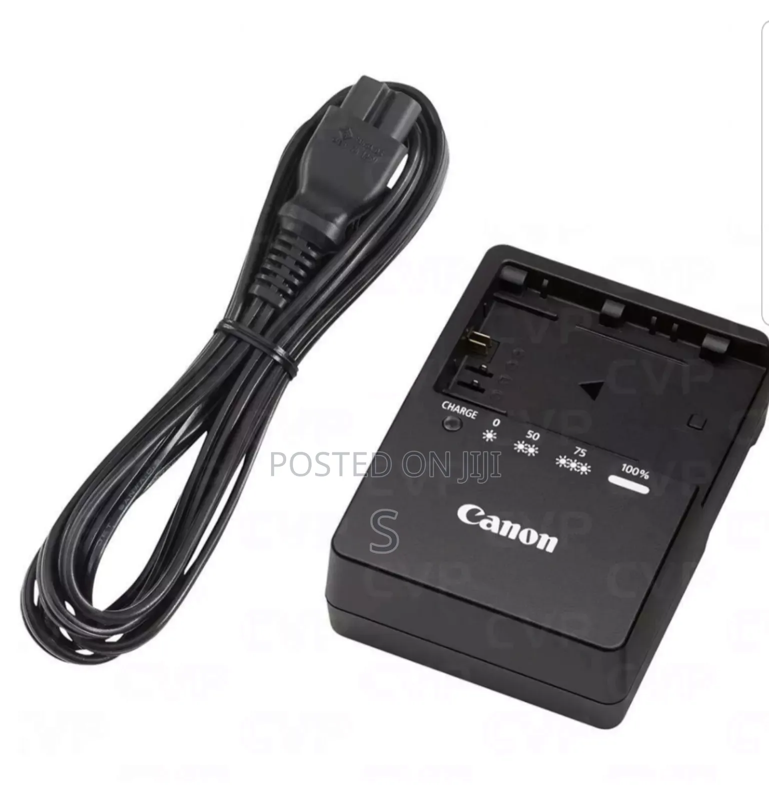 Canon 5d Battery and Charger