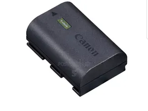 Canon 5d Battery and Charger
