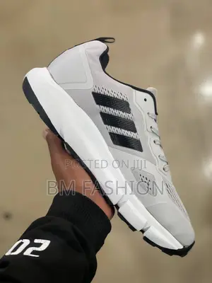 Adidas Terrex Trail Running Shoes.