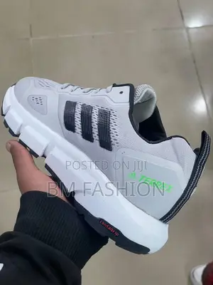 Adidas Terrex Trail Running Shoes.