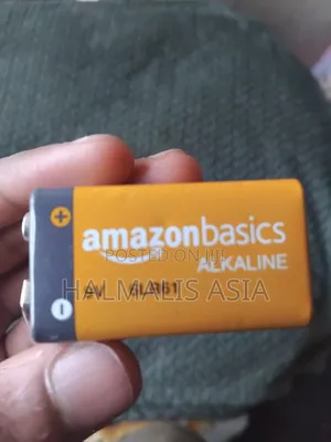 Amazon Basics 9v Battery