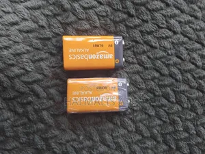 Amazon Basics 9v Battery