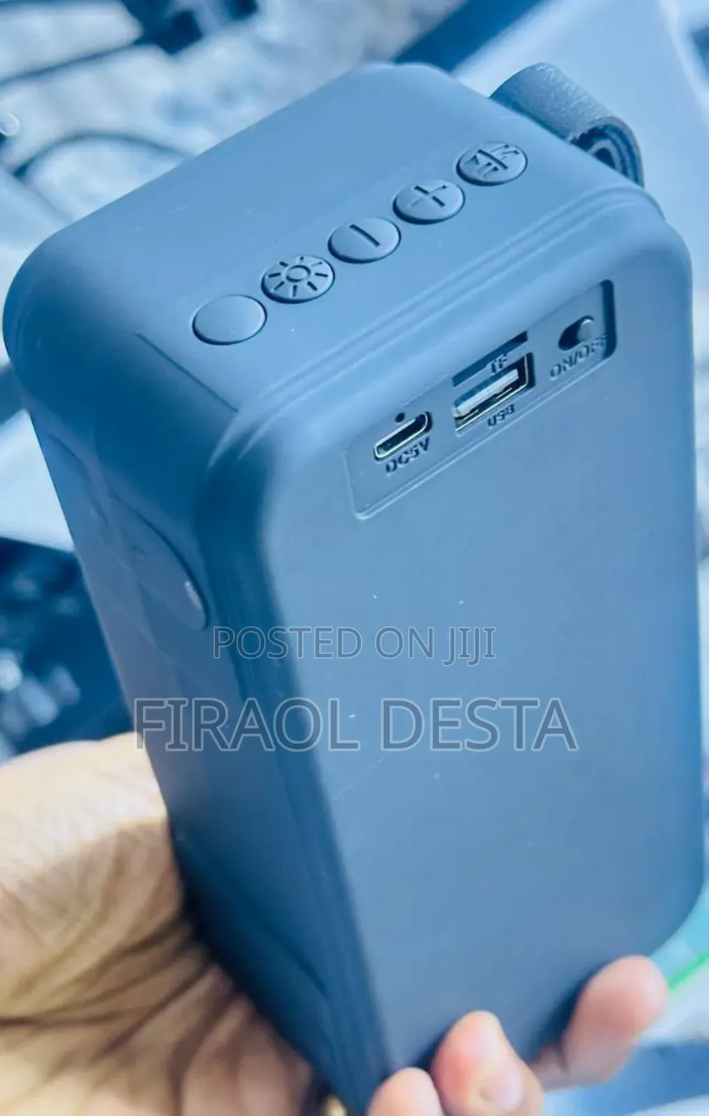 Portable Loudspeaker