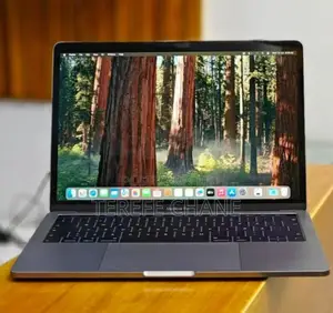 New Laptop Apple MacBook Pro 2019 16GB Intel Core I5 SSD 256GB