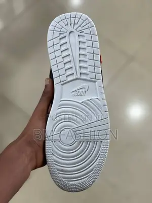 Nike Sb Dunk Low Sneaker With a Gucci-Inspired Design