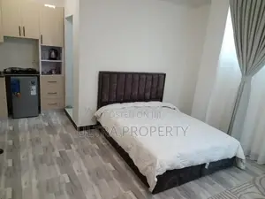 Furnished Studio Apartment in Bole for rent