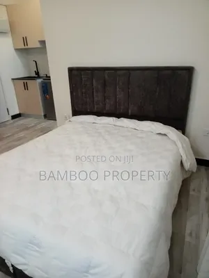 Furnished Studio Apartment in Bole for rent