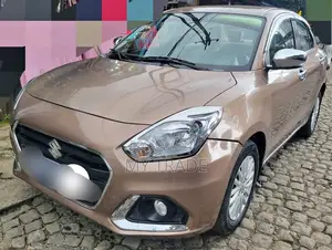 Professional Driver | Fluent English | 10+ Years Exp |