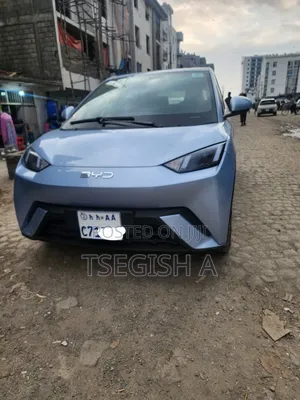 Photo - New BYD Seagull 2025 Blue