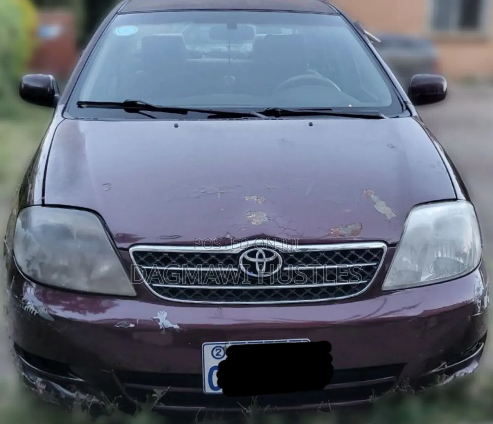 Toyota Corolla 2003 Burgundy