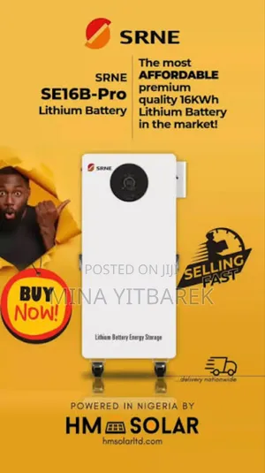 Photo - Srne Lithium Ion Battery and Inverter