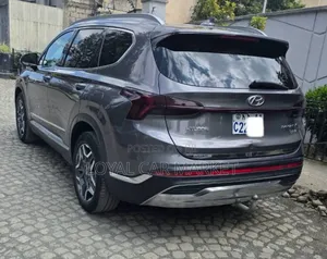 Hyundai Santa Fe 2022 Gray