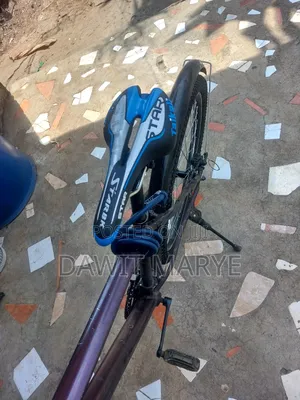 Photo - New Motorcycle 2020 Brown