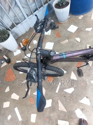 New Motorcycle 2020 Brown