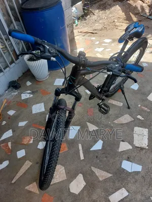 New Motorcycle 2020 Brown