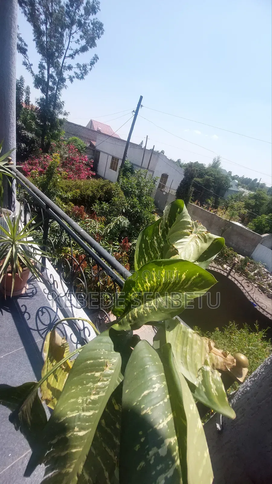 4bdrm House in Oromia, East Shewa for rent