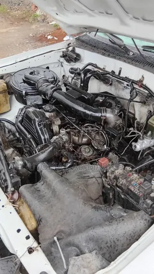 Toyota Hilux 2001 White