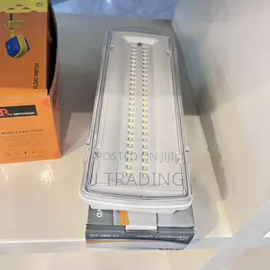 Double Emergency Light