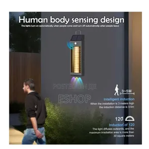 Effortless Outdoor Lighting, Powered by the Sun