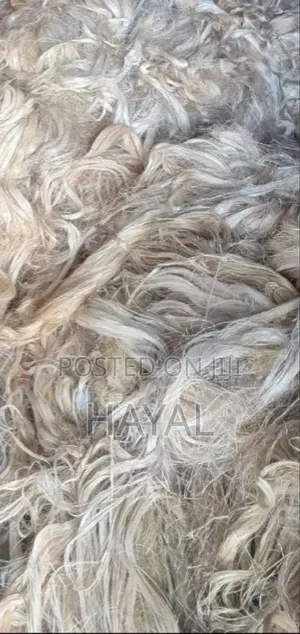 ጂፕሰም ቃጫ/ Gypsum Kacha