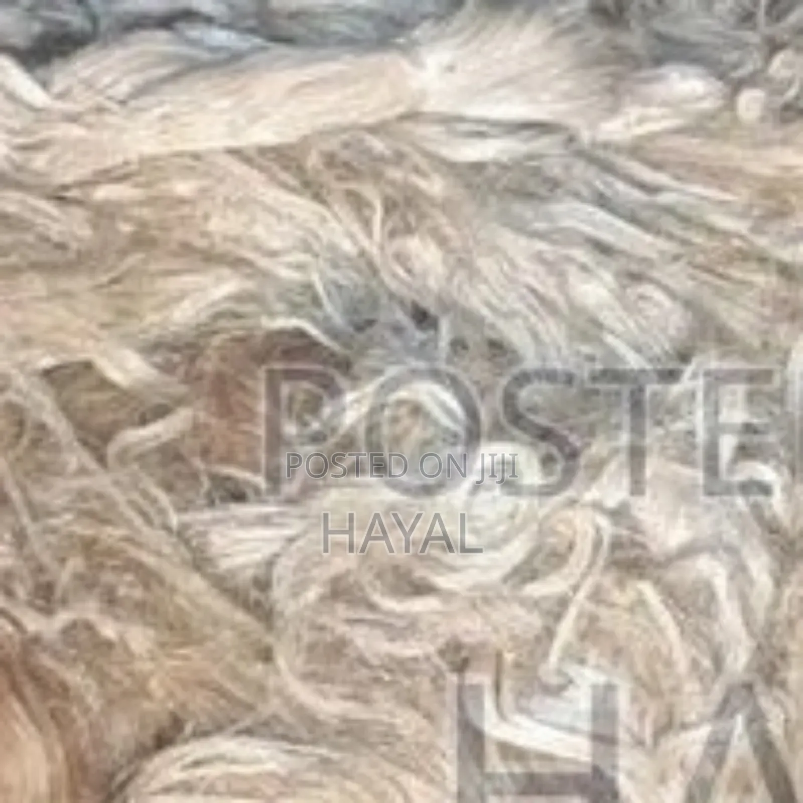 ጂፕሰም ቃጫ/ Gypsum Kacha