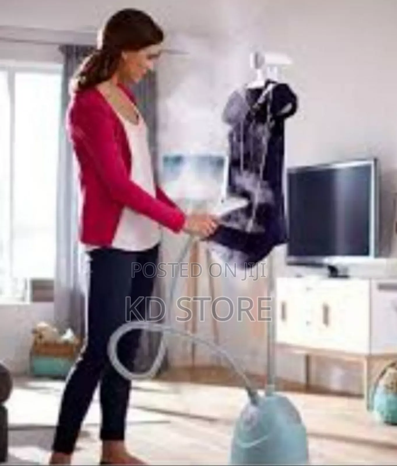 Sanford Garment Steamer