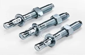 Photo - Anchor Bolt 10*100