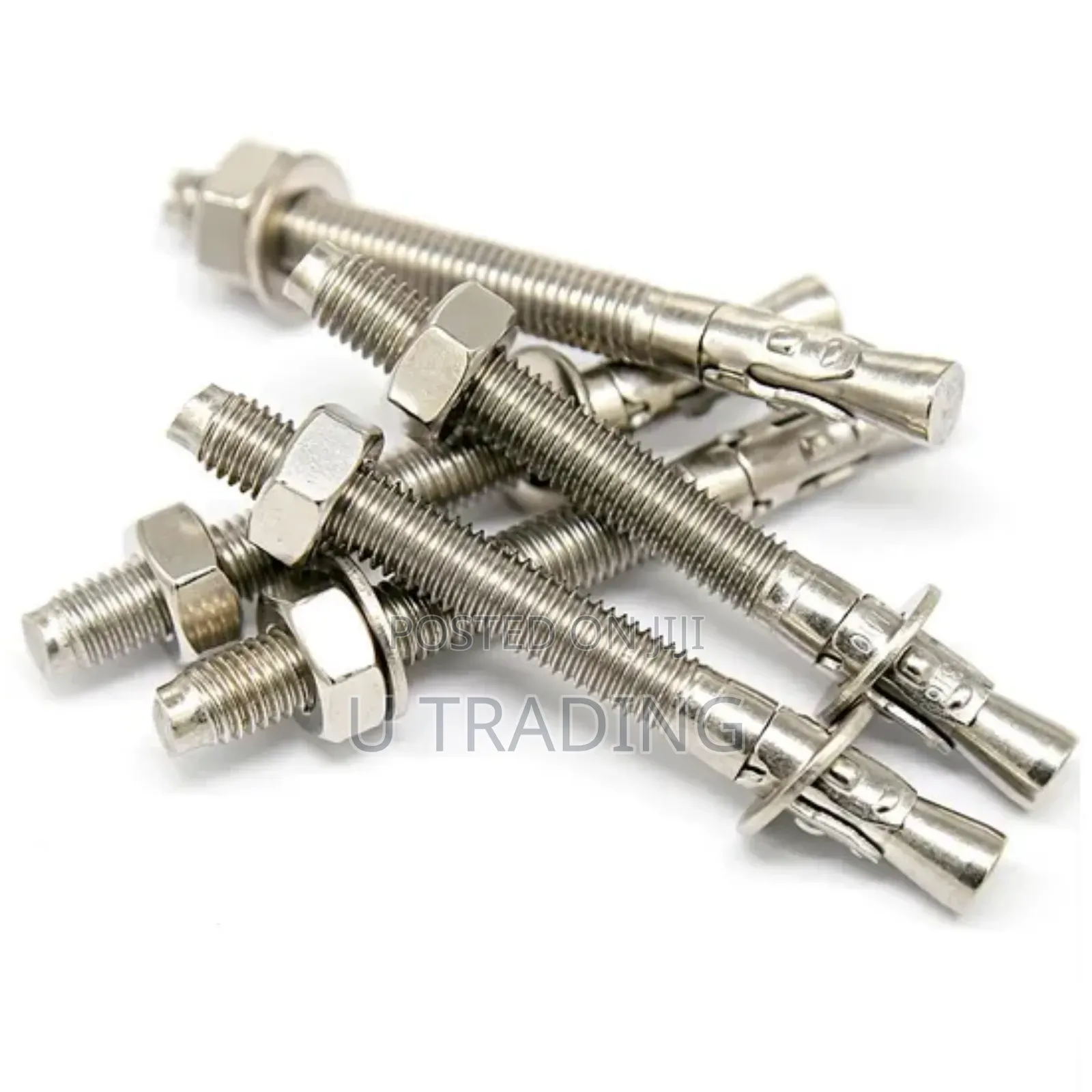 Anchor Bolt 10*100
