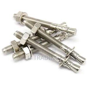 Anchor Bolt 10*100