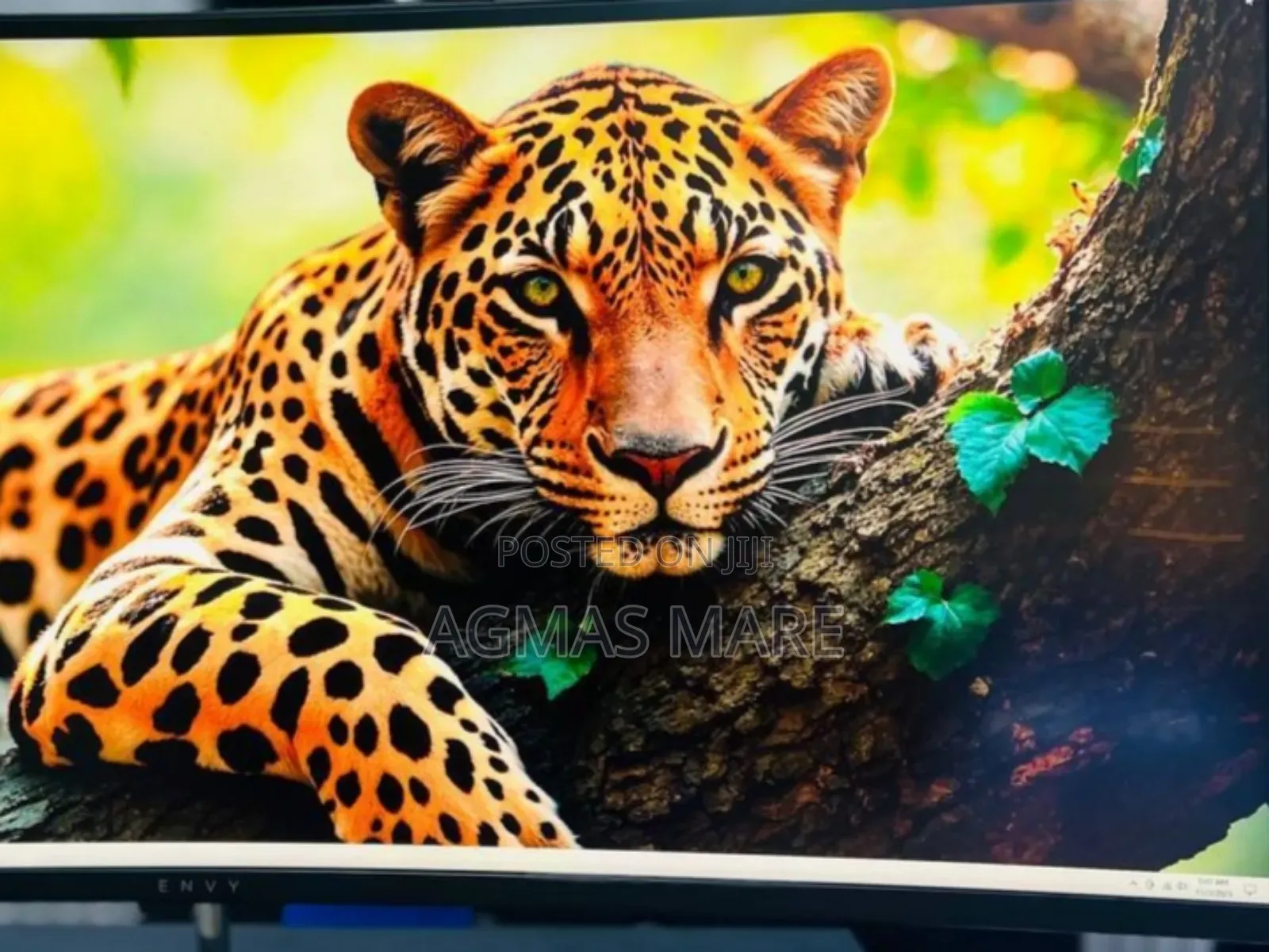  Hp Envy Curved All-in-One Pc 34”