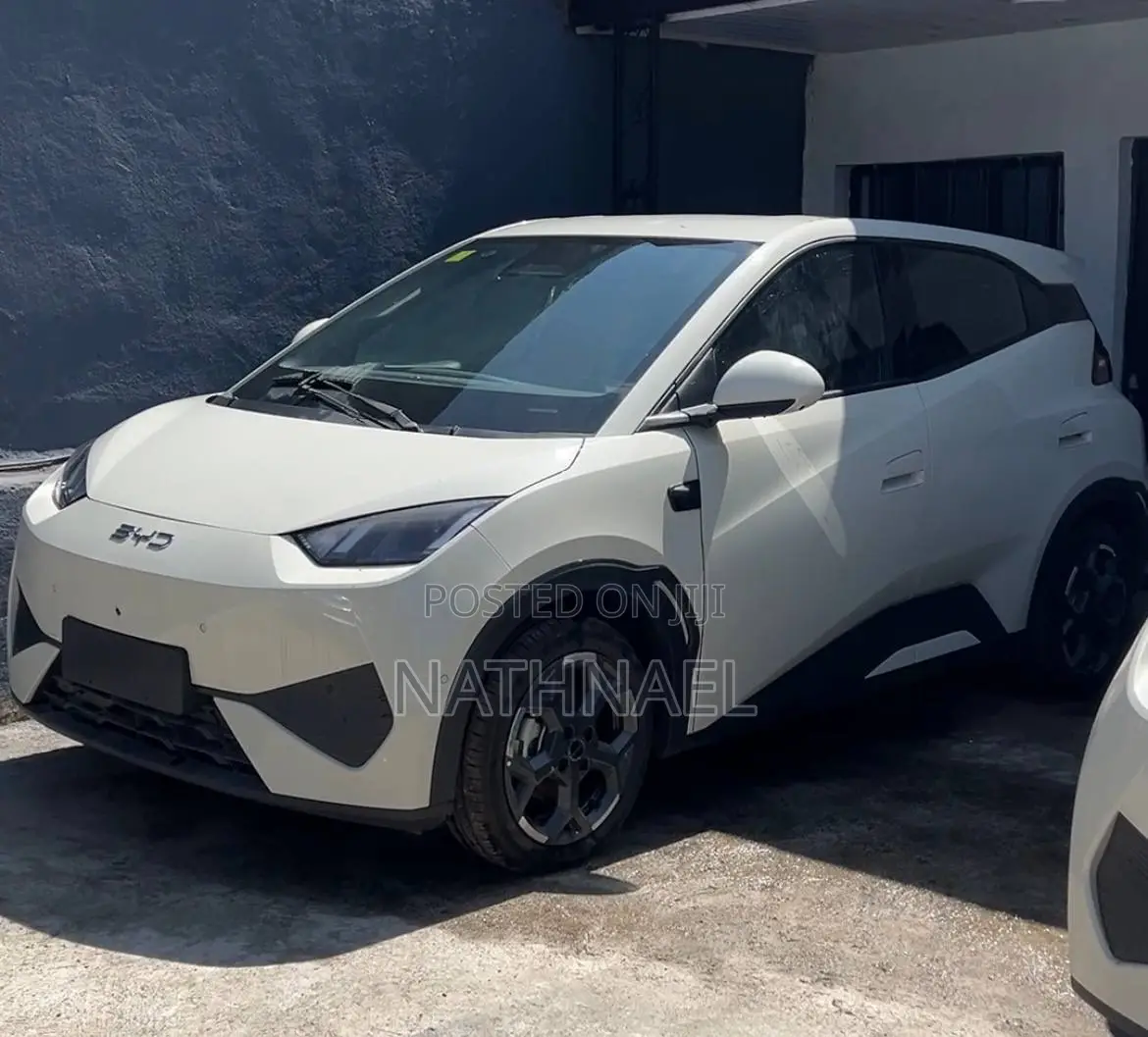 New BYD Seagull 2025 White